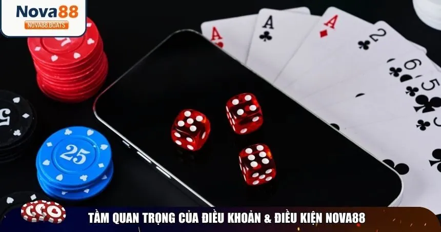 Tầm quan trọng của điều khoản & điều kiện Nova88
